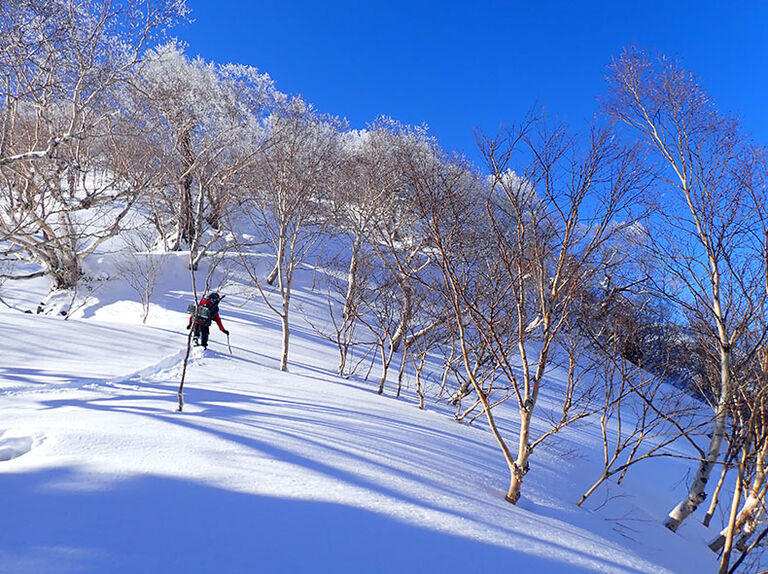 Image without a name